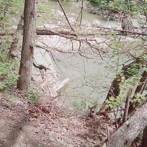 Share,Like,Buy and Make Offers!